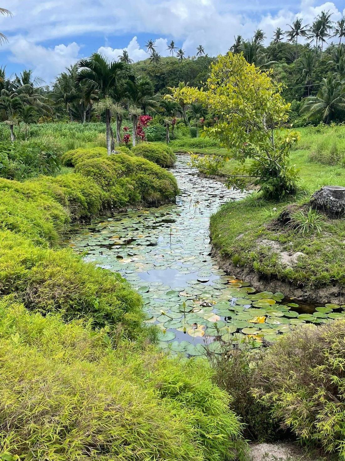 Sigasiga Sands Boutique Bungalows Savusavu Luaran gambar